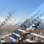 Tisya Laura profile icon