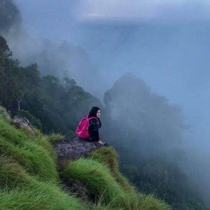 Sarah Dariya Madsee profile icon