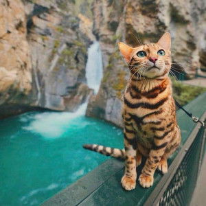 JenCa Bantilan profile icon