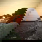 Carolyn Majubin Abdul Hamid profile icon