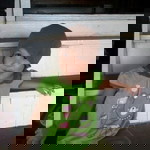 Ummi Norzanaria Zakariah profile icon