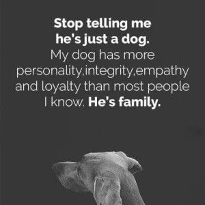 Suzette Cruz profile icon