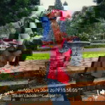 Fitri Wulandari profile icon