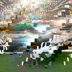 Sahrul Hairudin profile icon