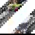 Resty Mutiara profile icon