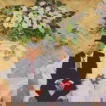 Mumtazah Ar-rohmah profile icon