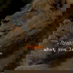 Aera Celestia BC profile icon