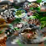 Karibeuk profile icon