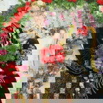 Fauziah Iffah Yulisa Dwi Lestari profile icon