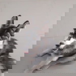 Sukanda Kornjaroensuk profile icon