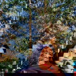 Aisyah Mayang Sari profile icon