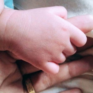 Nailil Muna profile icon