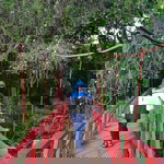 dyah wulan2905 profile icon