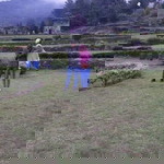 Endah Tia profile icon