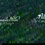 Maasita Mohd Nor profile icon