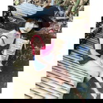 Nopparin Paintmuay profile icon