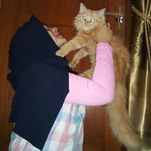 Novika Aditiya profile icon