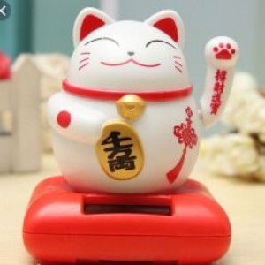 camtu huynh profile icon