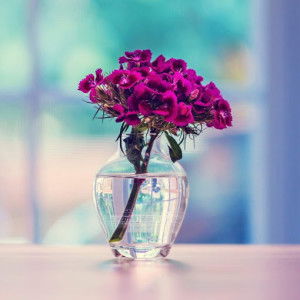 Mama Annur profile icon