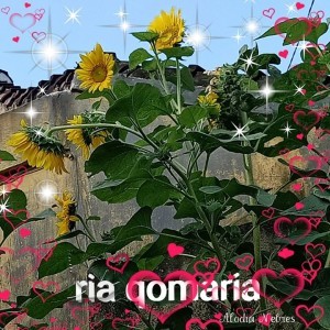 Ria Qomaria profile icon