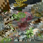 Thu Nguyen profile icon