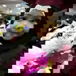 Nor Samsiah Mut profile icon