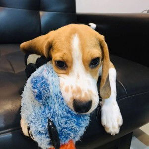 Krada Ksottiranon profile icon