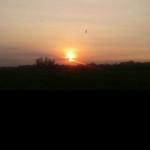 Paradise Paradise profile icon