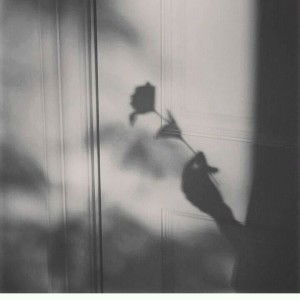 Inara Tantia profile icon