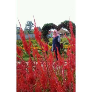 Thatas Moymoy profile icon