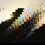 Aini Nurmila profile icon