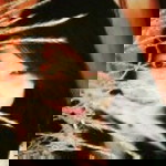 rosa novi jayaningsih profile icon