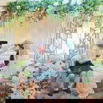 Emma Wan profile icon