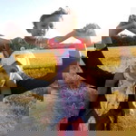 Aisyah Ali profile icon