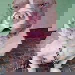 Marìbêth Tölêcô profile icon