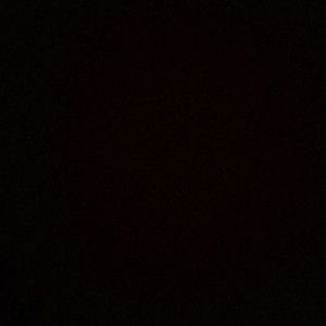 anneleo profile icon