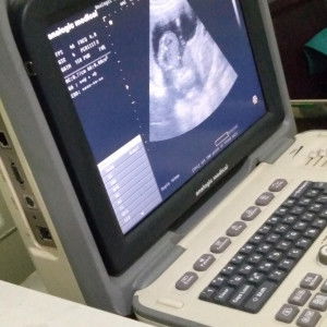 Habibah profile icon