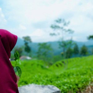 Puji Utami profile icon