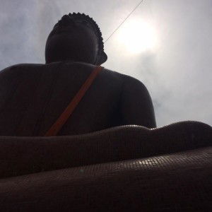 โจ คชาภา profile icon