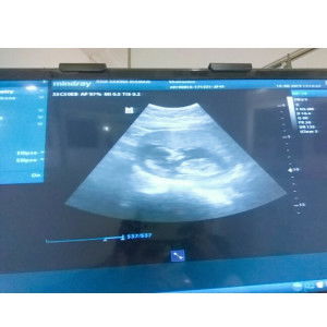 Chairunnisa profile icon