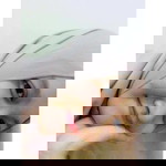 Gia Widi profile icon