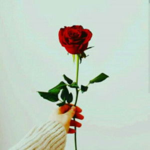 Wiwin NR profile icon