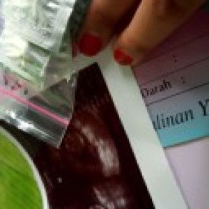 dhesmensii profile icon