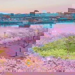 Sakura Kristal profile icon