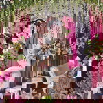 Anggita Pipit Prastiwi profile icon