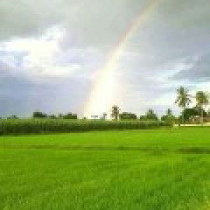 แสงสว่างที่มองเห็น profile icon