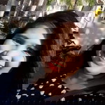 ELaine Jhoy profile icon