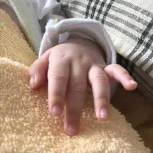 bé Cát Cát profile icon