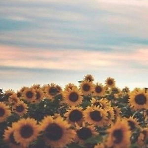 sarah sabili profile icon