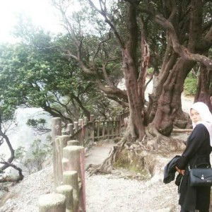 Shella Angellia profile icon